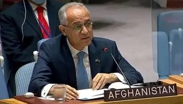 نماینده افغانستان در سازمان ملل خواستار توقف خشونت‌ها شد