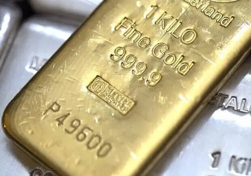 تاثیر شگرف کوچک شدن اقتصاد جهانی بر پیکر اقتصاد کشورهای در حال توسعه 