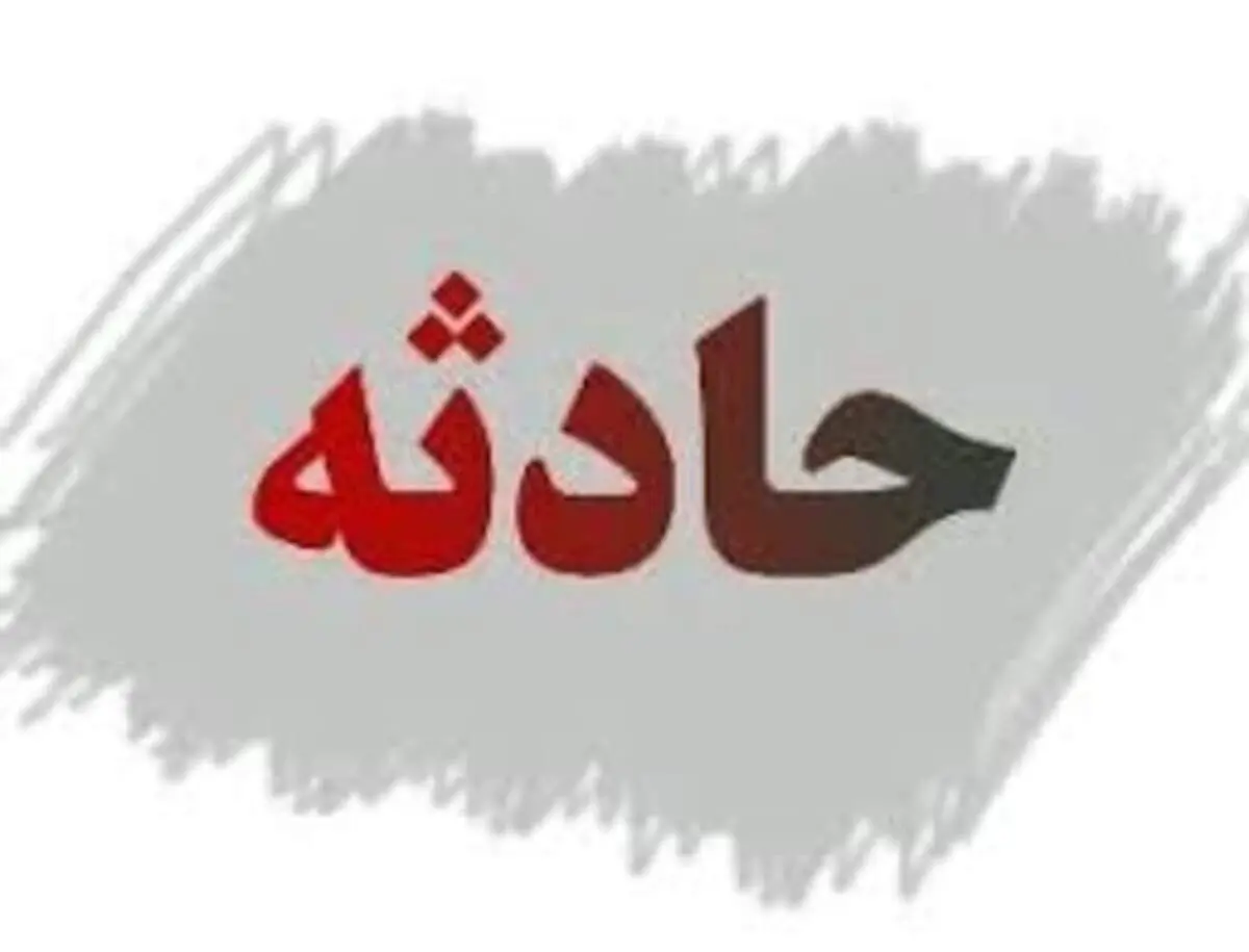 مصدومیت ۱۳ تبعه خارجی بر اثر واژگونی خودرو + فیلم