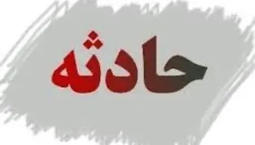 مصدومیت ۱۳ تبعه خارجی بر اثر واژگونی خودرو + فیلم