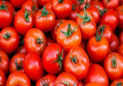 برای مقابله با پیری پوست، این ۴ خوراکی را حتما بخورید!