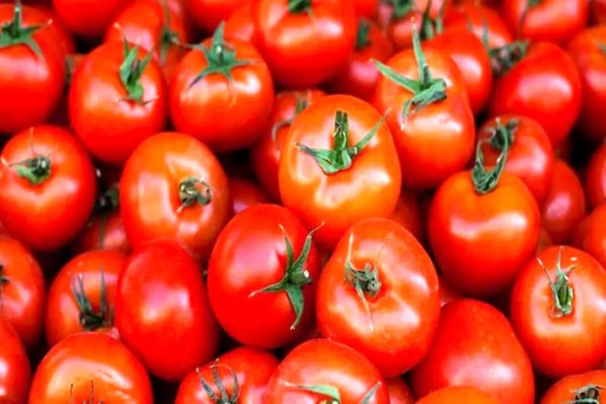 عوارض عجیب مصرف گوجه فرنگی با برخی مواد غذایی