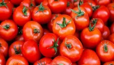 عوارض عجیب مصرف گوجه فرنگی با برخی مواد غذایی