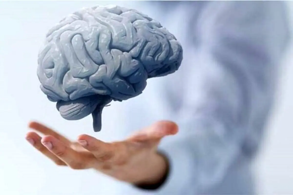 مکملهای غذایی مفید برای سلامت مغز