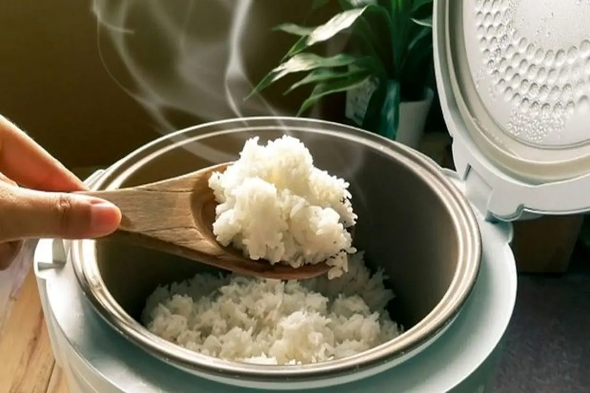 هنگام مصرف برنج در بدنتان چه اتفاقی می‌افتد؟
