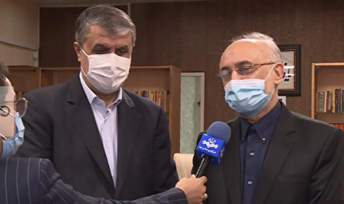 صالحی : به دانشگاه شریف برمی‌گردم/ اسلامی چگونه می‌خواهد سازمان انرژی اتمی را بچرخاند؟