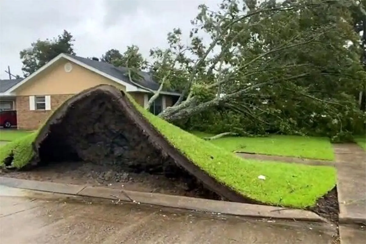 افتادن درخت غول پیکر روی خانه در اثر طوفان آیدا + فیلم