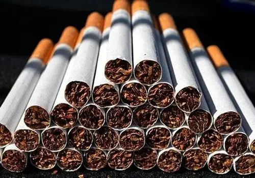 اعضای یک باند قاچاق سیگار به ۱۰ سال حبس محکوم شدند