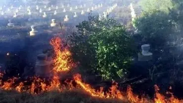 آتش سوزی گسترده در یکی از جزایر معروف استانبول + فیلم