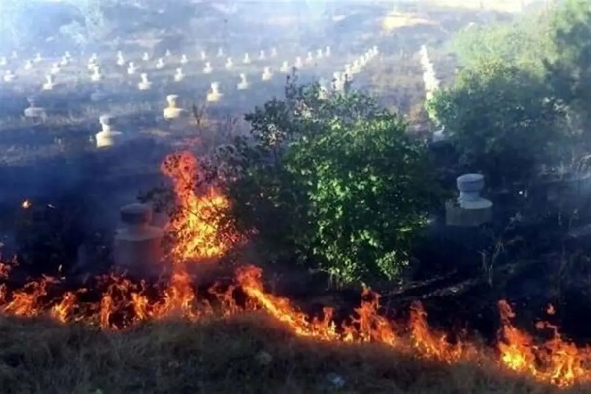آتش سوزی گسترده در یکی از جزایر معروف استانبول + فیلم