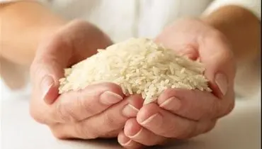 برنج ایرانی کیلویی ۴۵هزار تومان؛ قیمت برنج هندی از مرز ۳۰هزار تومان گذشت
