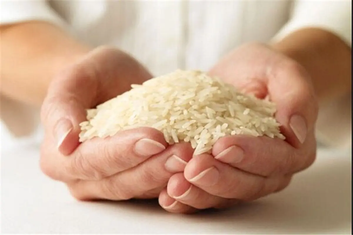 برنج ایرانی کیلویی ۴۵هزار تومان؛ قیمت برنج هندی از مرز ۳۰هزار تومان گذشت