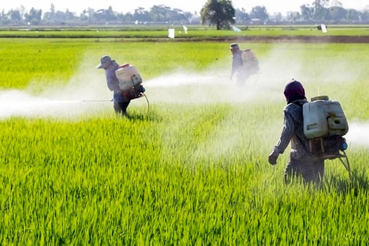 عوارض قرار گرفتن کودکان در معرض آفت کش ها