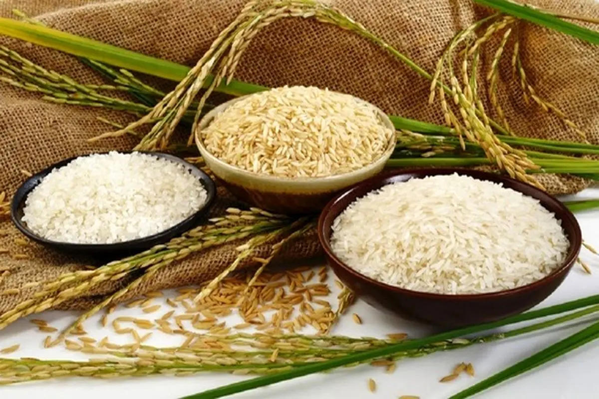 قیمت انواع برنج ایرانی در میادین میوه و تره بار تهران +نرخنامه