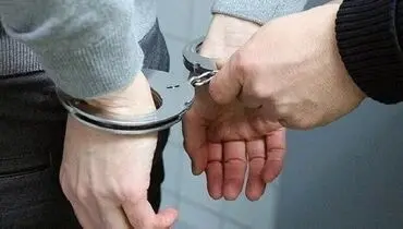 ادعای عجیب قاتل: صدایی دستور قتل پدر را داد