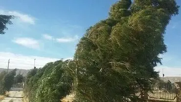 رگبار و رعدوبرق در برخی نفاط کشور/ افزایش دما تا ۴۹ درجه و بالاتر در دو استان
