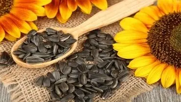 فواید فوق العاده تخمه آفتاب گردان