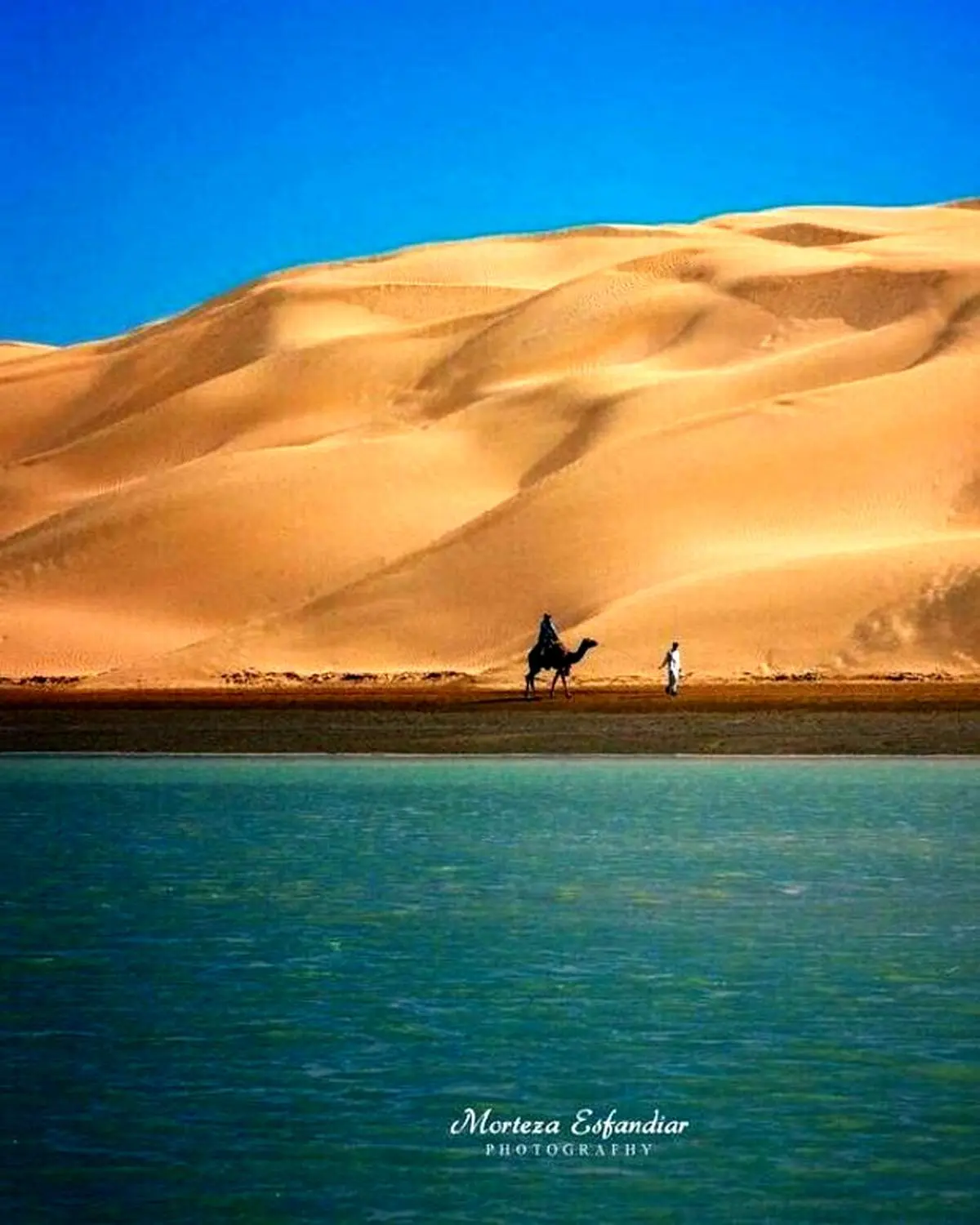 تلاقی کویر با دریا