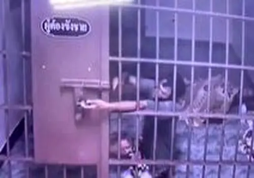 وقتی دیوارهای آلکاتراز فرو ریختند؛ روایت یک فرار غیرممکن + عکس

