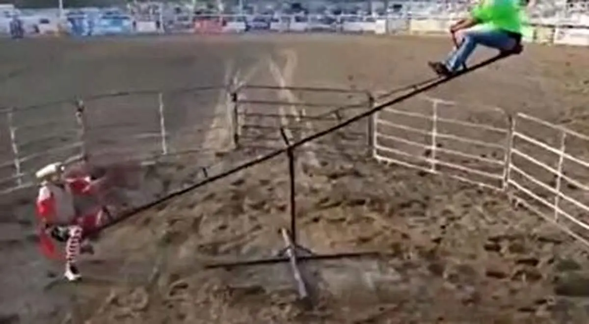 سرکار گذاشتن گاو خشمگین با الاکلنگ+ فیلم