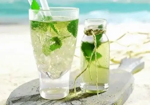 طرز تهیه شربت خیار سکنجبین سنتی 