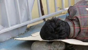کارتن خوابی که کارخانه دار شد + فیلم
