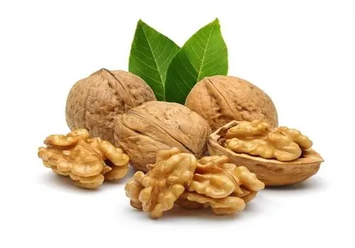 برای کاهش چربی خون چه کنیم؟