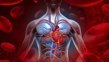 برای بهبود جریان خون چه خوراکی هایی بخوریم؟