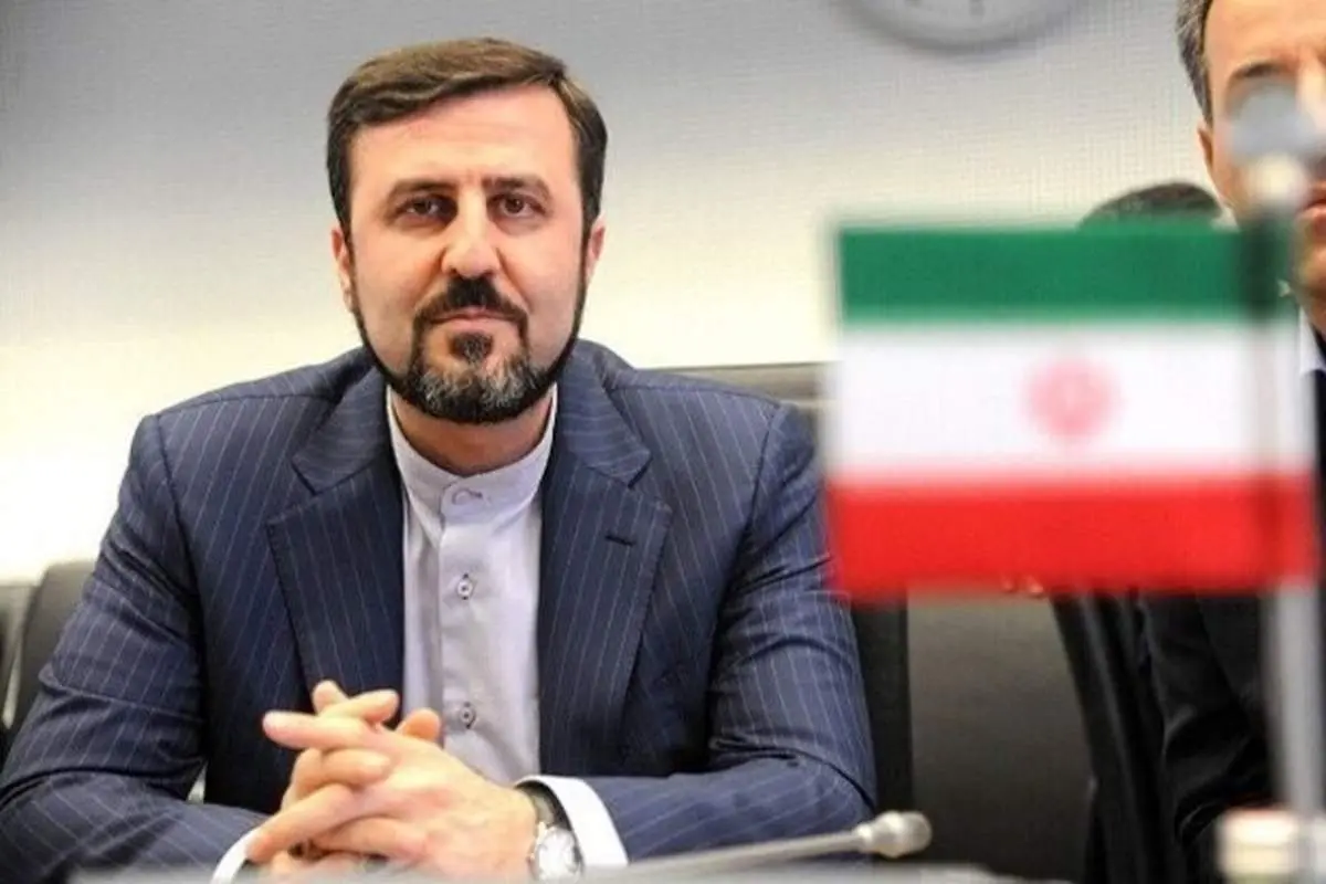 غریب آبادی: ادعاهای کذب برای شلوغ سازی و پرونده سازی در آستانه نشست شورای حکام است + فیلم