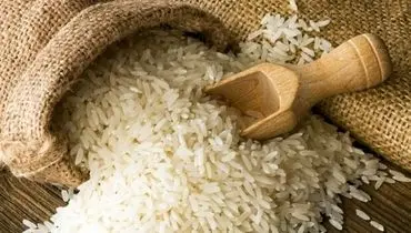 برنج بورسی گران از آب در آمد