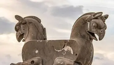 شکوه پارسه