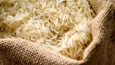 توزیع ۱۰۰ هزار تن برنج وارداتی از انواع هندی پاکستانی و تایلندی برای تنظیم بازار