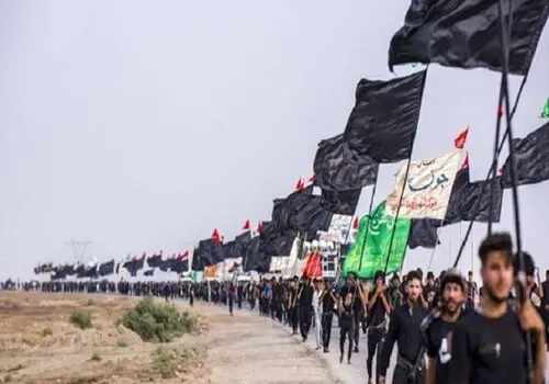 هر پشه آئدس چند نفر را به تب دنگی مبتلا می کند؟