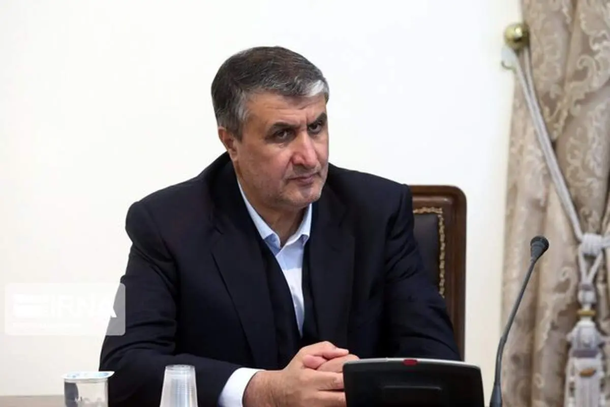 رئیس سازمان انرژی اتمی وارد وین شد