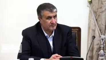 رئیس سازمان انرژی اتمی وارد وین شد