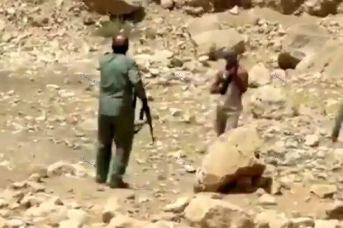 لحظات دلهره‌آور از درگیری مسلحانه یک شکارچی با دو محیط‌بان + فیلم