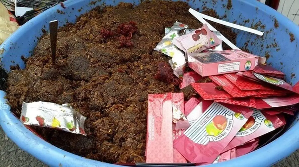 خبری شوکه کننده و عجیب؛ مدفوع حیوانات به جای تنباکو برای استفاده در قلیانها؟! +فیلم