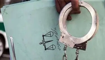 ترفند عجیب خانم دکتر برای تصاحب اموال پیرمرد ثروتمند