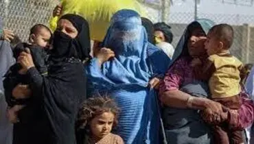 روسیه و ازبکستان درباره مساله پناهجویان افغان گفتگو کردند