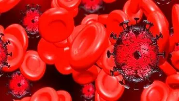 کشف عامل اصلی آسیب به عروق خونی در بیماران کرونایی