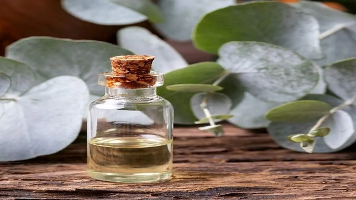 روغن خانگی و ضدعفونی کننده بدون ماده شیمیایی