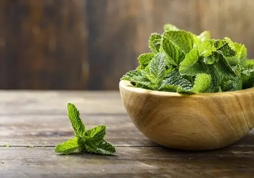 عوامل تحریک کننده اصلی در بروز آسم چیست؟