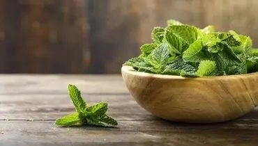 فواید شگفت انگیز برگ نعناع برای سلامتی