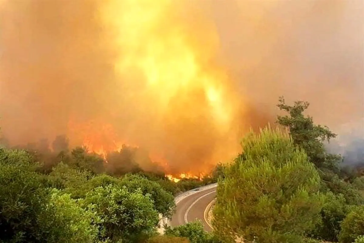وقوع آتش سوزی در جنوب سرزمین‌های اشغالی+عکس