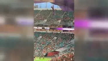 لحظه نجات گربه بازیگوش پس از سقوط هولناک از سقف استادیوم + فیلم