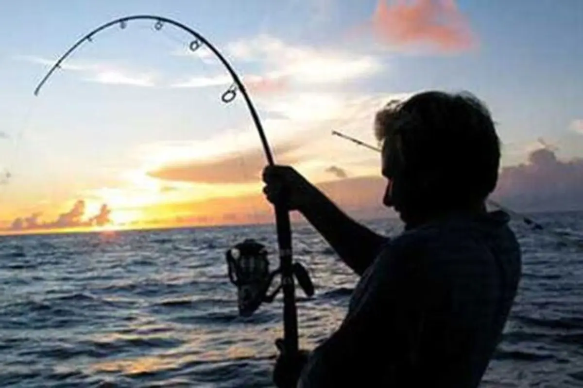 عجیب‌ترین شیوه ماهیگیری؛ سو استفاده از غریزه حیوانات! + فیلم
