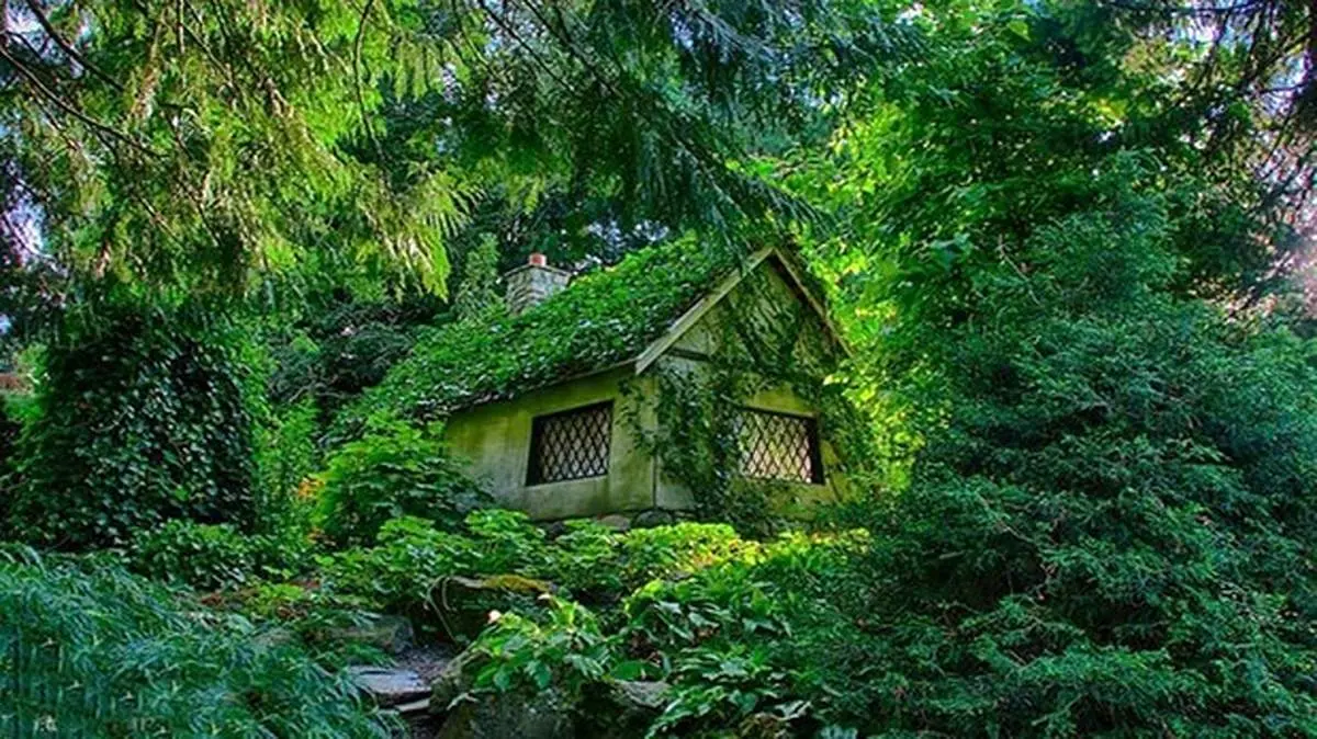 پاسخ سریع طبیعت به شهروند خرابکار! + فیلم