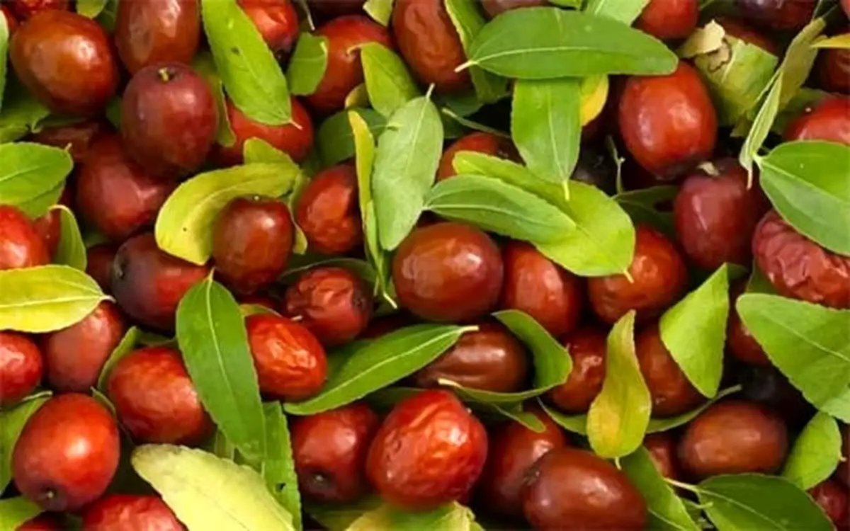 میوهای جادویی برای خلاصی از بی خوابی و اضطراب