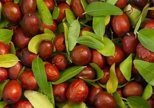 آیا ابتلا به کوید منجر به بیخوابی می شود؟