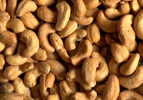 فواید بی‌نظیر بادام هندی برای کنترل فشار خون
